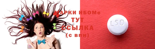 прущие грибы Абдулино