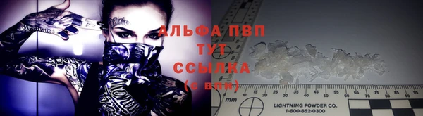 прущие грибы Абдулино