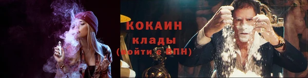 прущие грибы Абдулино