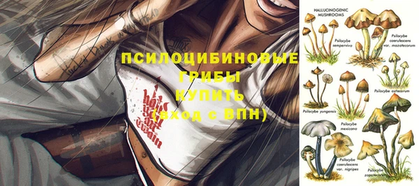 mix Абинск